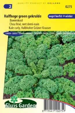 Boerenkool Middelhoge Fijne Krul (Brassica) 500 zaden SL